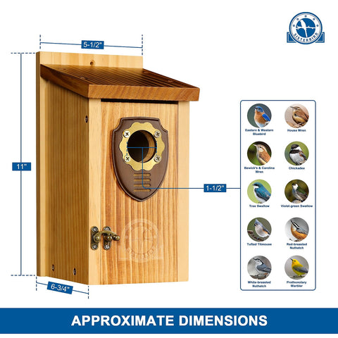 SISTERBIRD bluebird house side mount: easy pole or tree installation