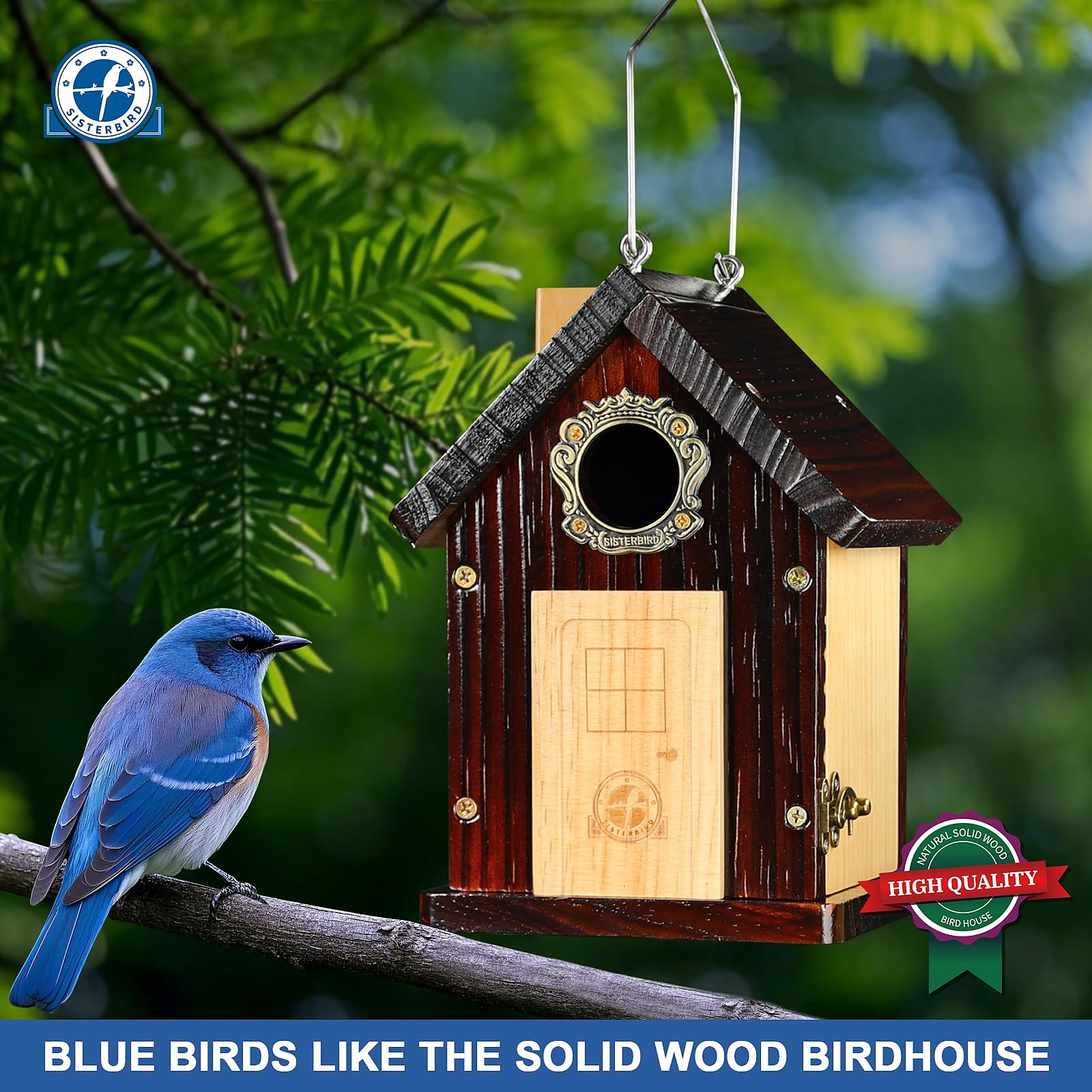 SISTERBIRD bluebird house with weatherproof coating for year-round durability.