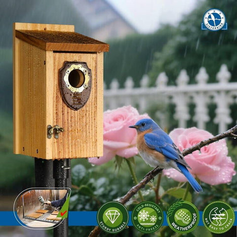 SISTERBIRD bluebird housing classic design: vintage latch for simple access