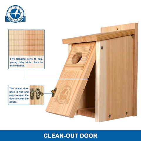 SISTERBIRD easy-assembly with a screwdriver for DIY projects.