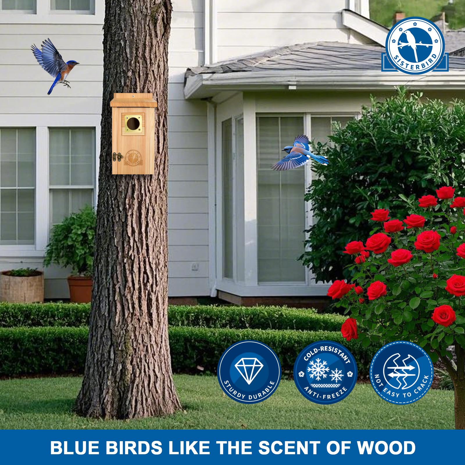 SISTERBIRD front door enables easy cleaning after nesting season.