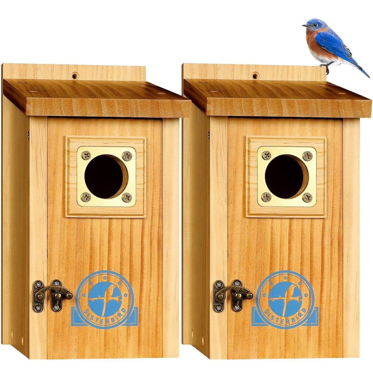 SISTERBIRD two-pack bluebird houses for outdoor use attracting yard birds
