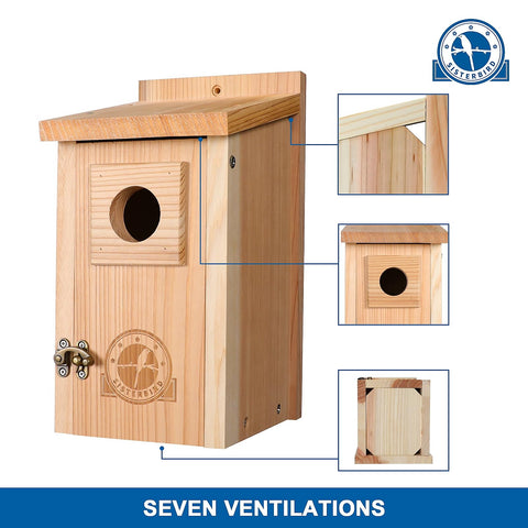 SISTERBIRD pack-of-two setup provides twin nesting options.