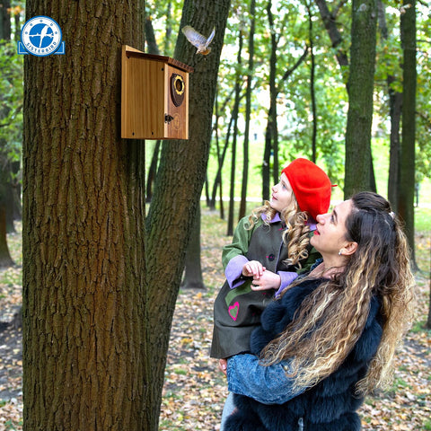 SISTERBIRD pack outdoor bird houses double pack: ready-to-use gift for backyard birds