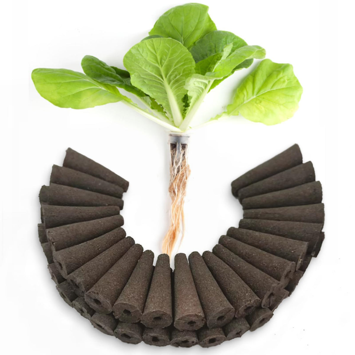 SIULMKOT 60-pack pods replacement for AeroGarden enabling reliable compatibility