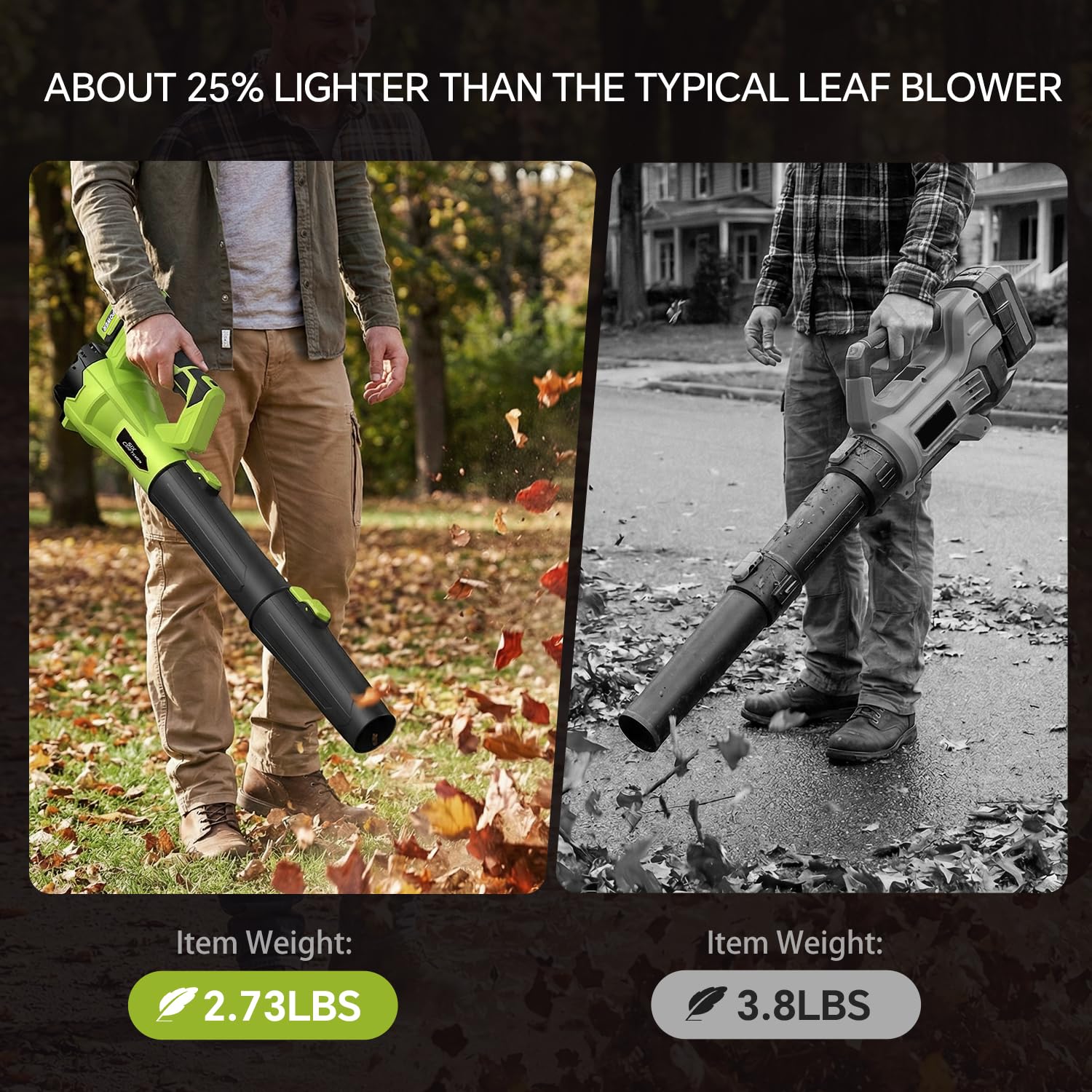Six Craftsmen Leaf Blower handles light snow with bursts.