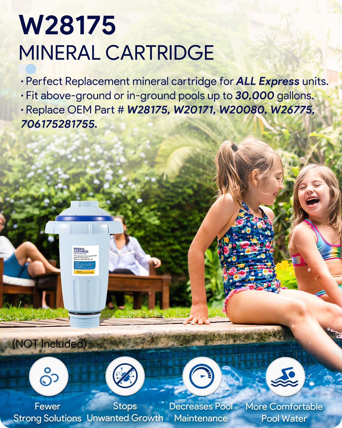 Sixcow cartridge compatible with Nature2 Express for IG and AG pools.