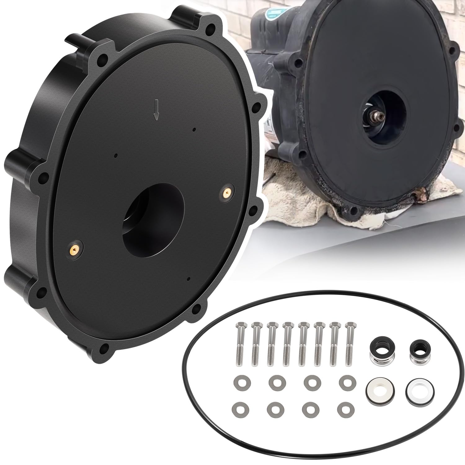 sixcow R0445200 backplate front view for Zodiac Jandy pumps improves fitment reliability
