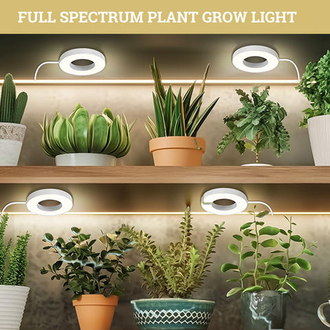 SIYOMG 192-LED full spectrum coverage supports healthy indoor plant growth