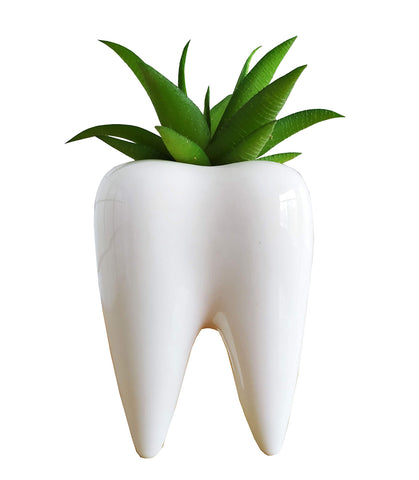 SJBAG ceramic 4-inch pot perfect for succulents or tiny herbs on sunny windowsills.
