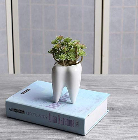SJBAG snail motif creates a whimsical focal point for desks and shelves.