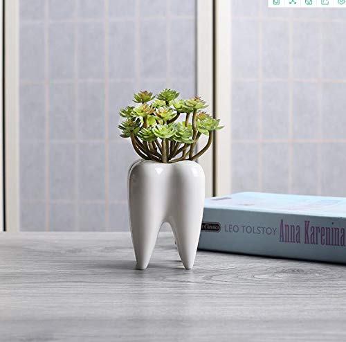 SJBAG ceramic pot supports plant health with smooth finish and proper drainage.