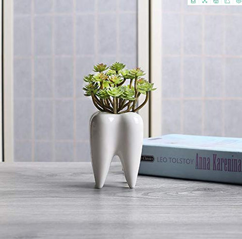 SJBAG ceramic pot supports plant health with smooth finish and proper drainage.