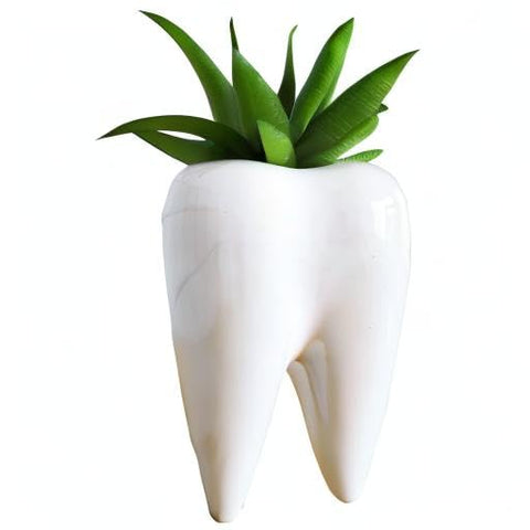 SJBAG handcrafted charm complements modern decor while housing compact plants.