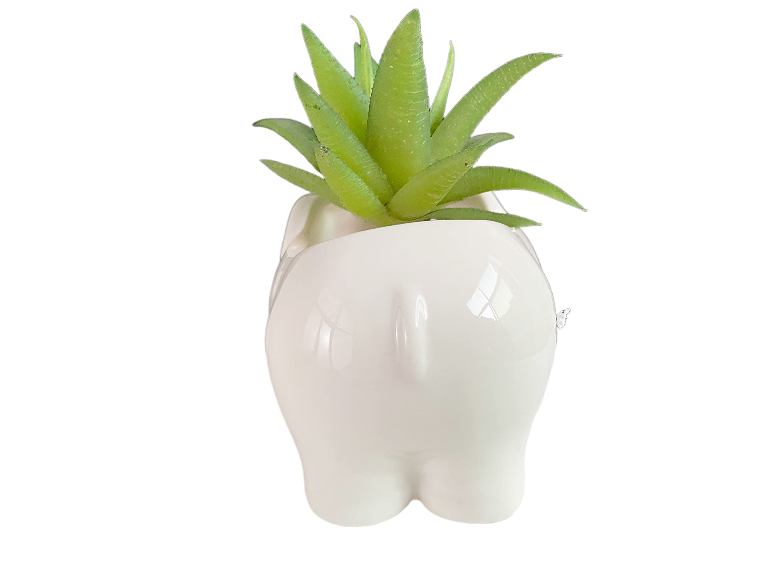 SJBAG small white elephant ceramic pot ideal for desk plants