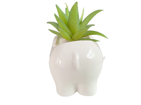 SJBAG small white elephant ceramic pot ideal for desk plants