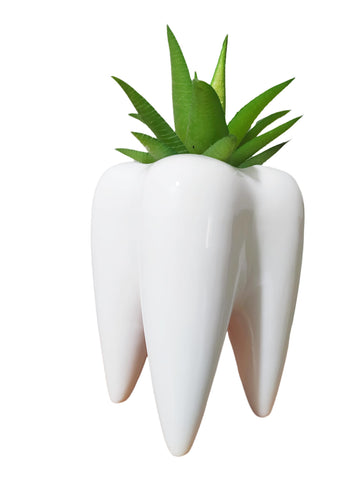 SJBAG snail shell-detail pot highlights durability and drainage for small plants.
