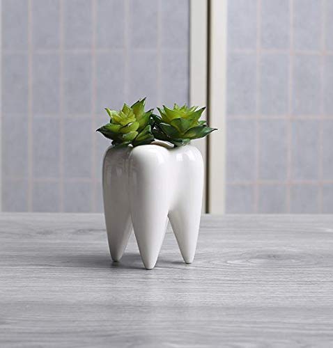 SJBAG animal pot enhances indoor spaces with playful charm and versatility.