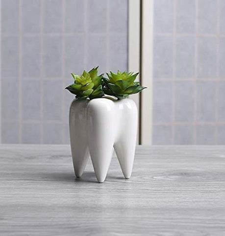 SJBAG animal pot enhances indoor spaces with playful charm and versatility.