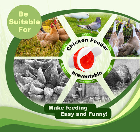 SJZNEWWOSM poultry-feeder-kit suitable for chickens, ducks, quail.