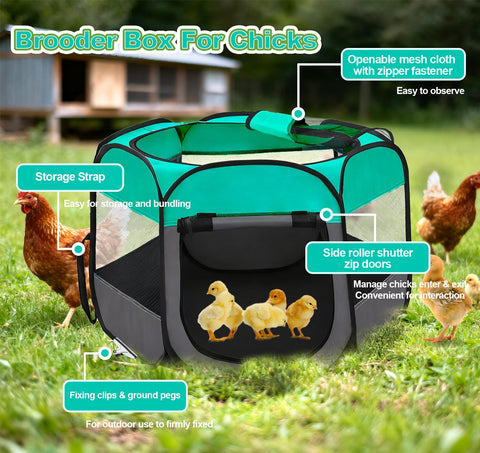 SJZNEWWOSM breathable mesh panel for ventilation and visibility of chicks.