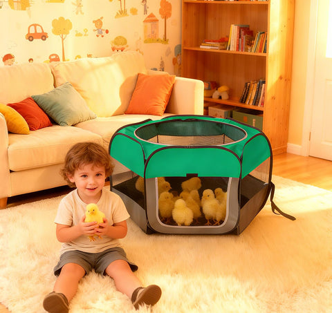 SJZNEWWOSM zippered top cover keeps chicks secure while monitoring.