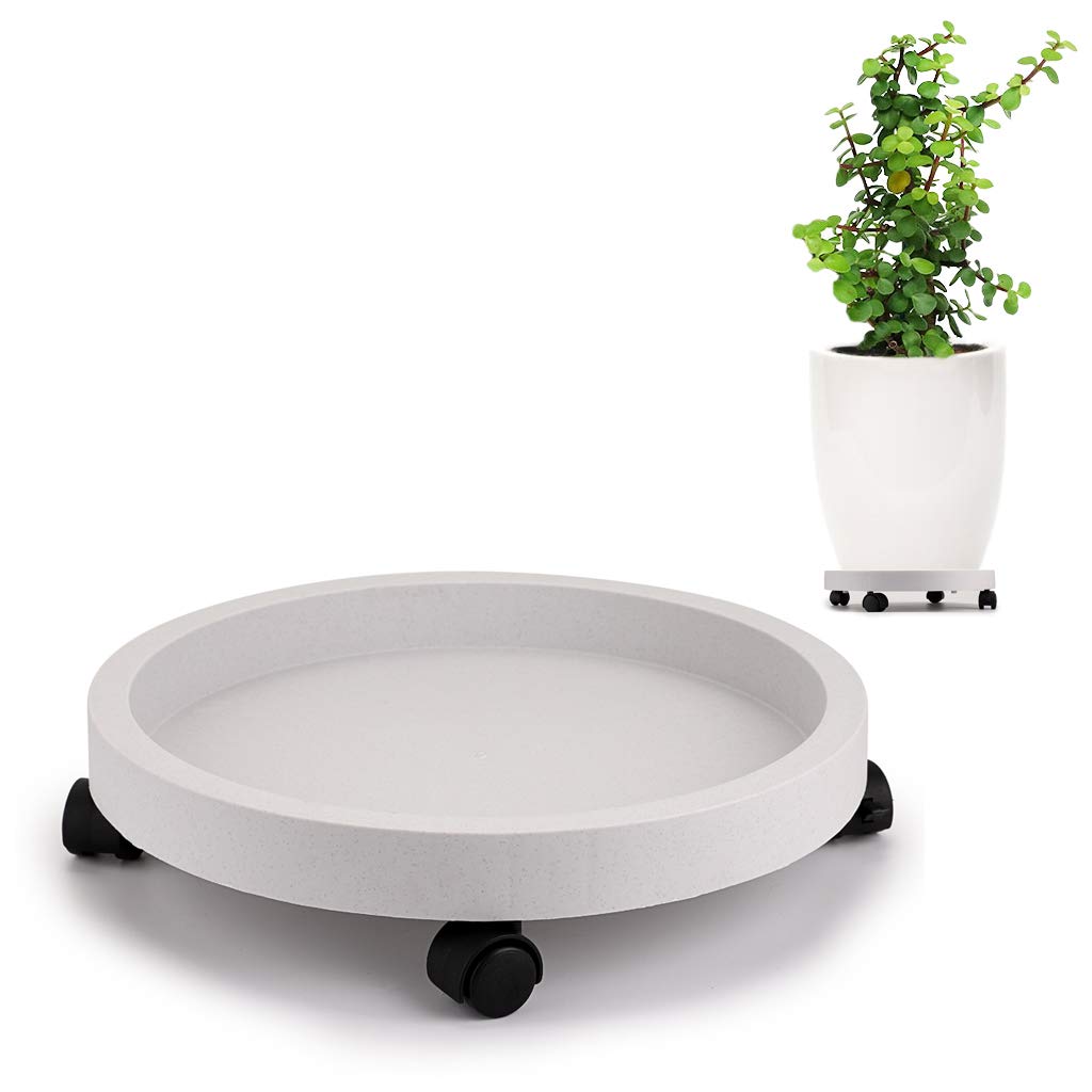 Skelang plant caddy with 13-inch wheel base used under a large pot.