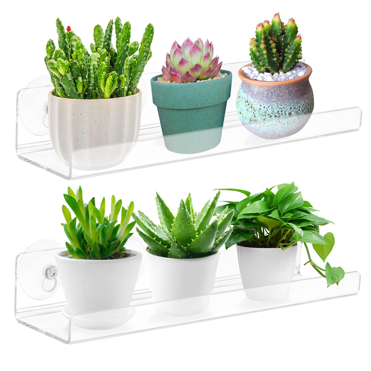 SKEWO 15-inch window shelf displaying succulents on clear acrylic for bright, organized display