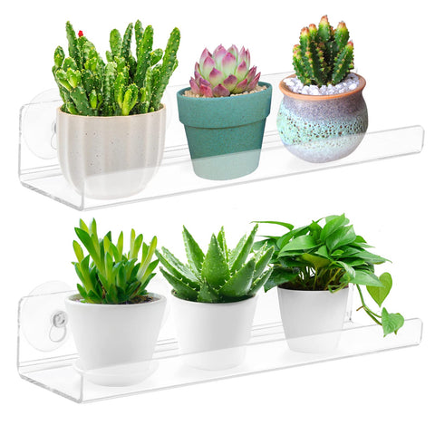 SKEWO 15-inch window shelf displaying succulents on clear acrylic for bright, organized display