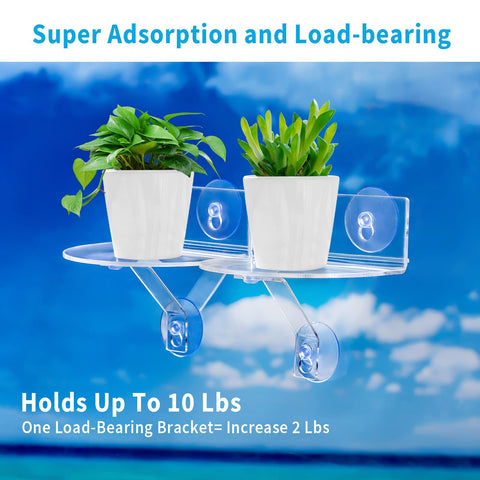SkeWo shelf demonstrating easy suction-cup adhesion.