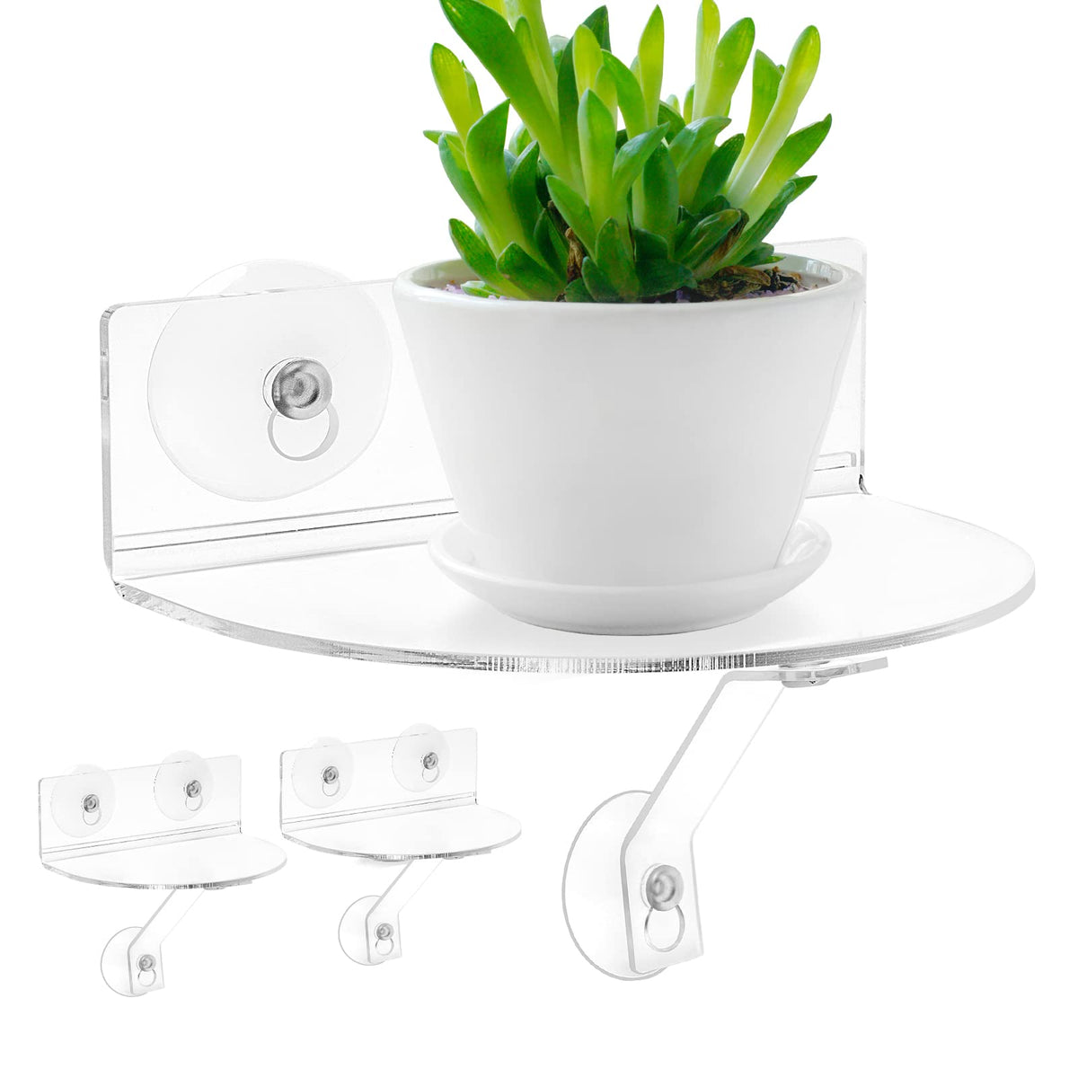 SkeWo 2-pack window shelves with semicircular design and suction cups.