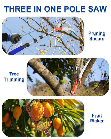 SKGPOLE extendable aluminum pole offers lightweight, sturdy reach for overhead pruning.