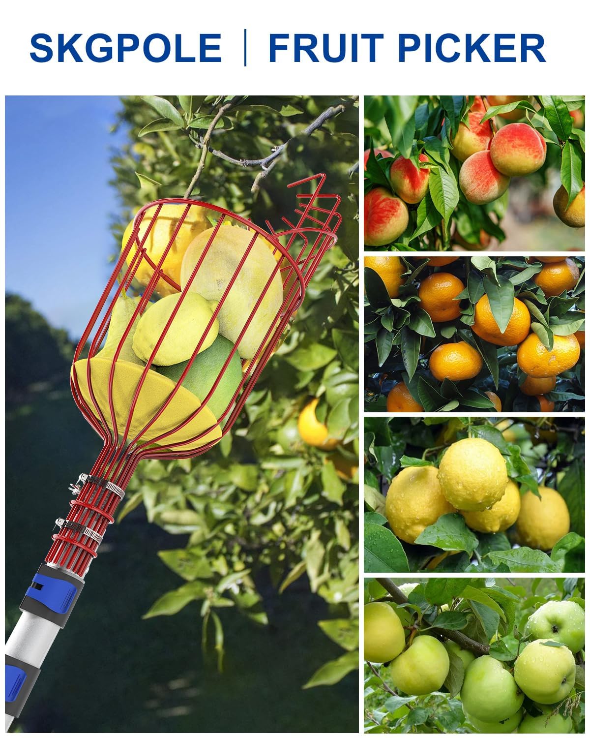 SKGPOLE enables picking apples, pears, and oranges from various trees