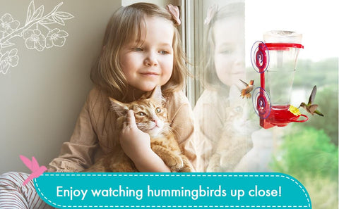 Clear viewing design invites family and pets to enjoy feeding moments.