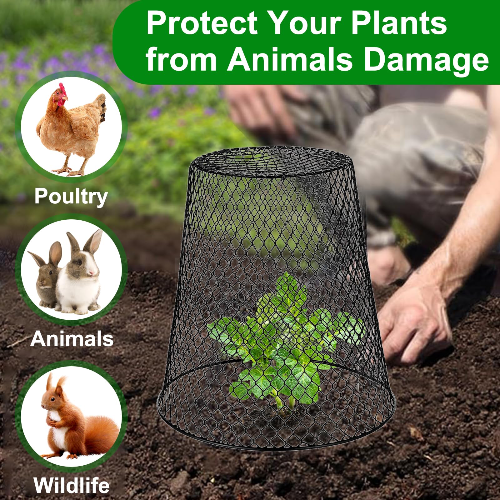 All-season SKWIRRLE cloche provides micro greenhouse protection