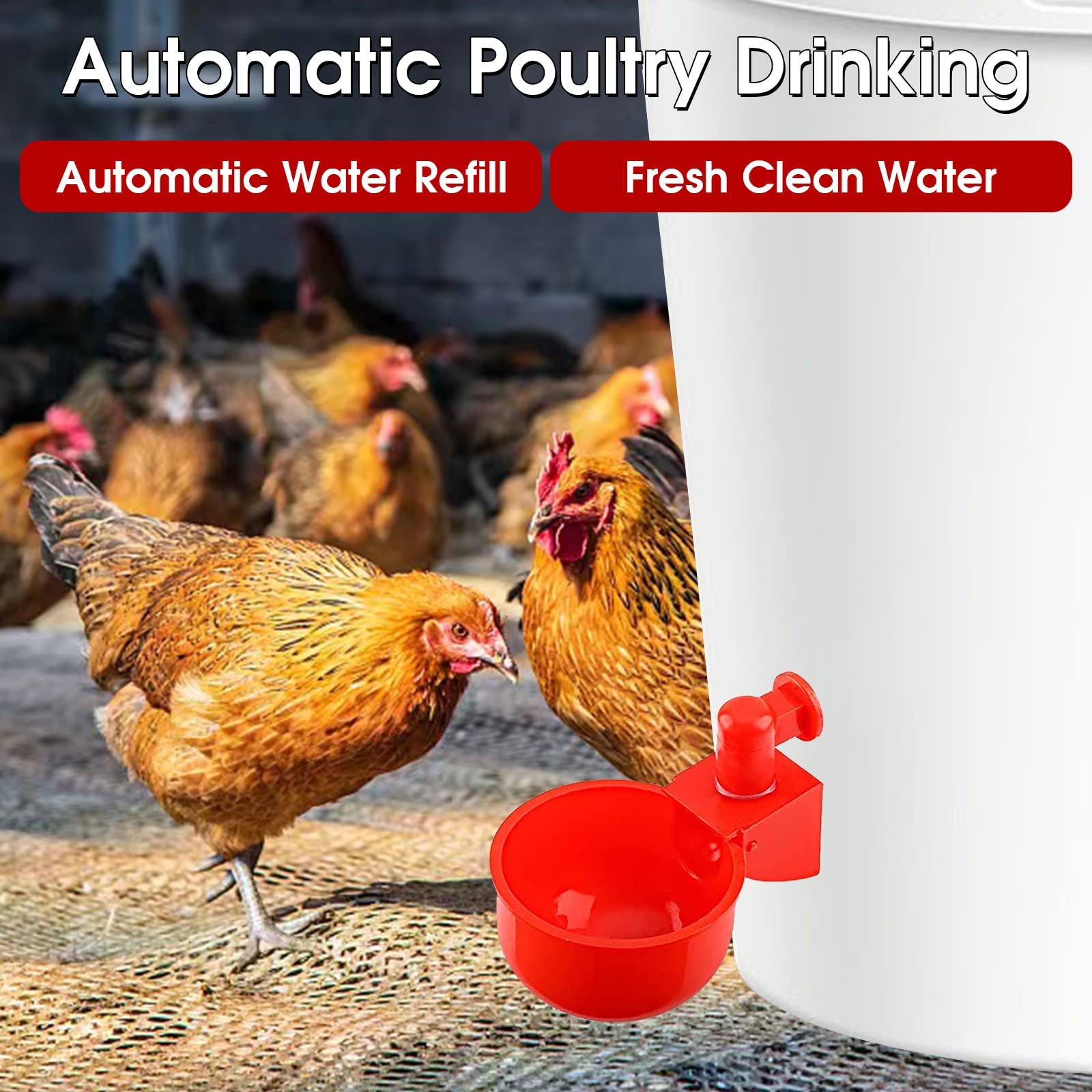 SKWIRRLE automatic filling waterer keeps clean water accessible for poultry