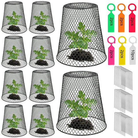 SKWIRRLE chicken-wire cloche cover set protecting seedlings from wildlife