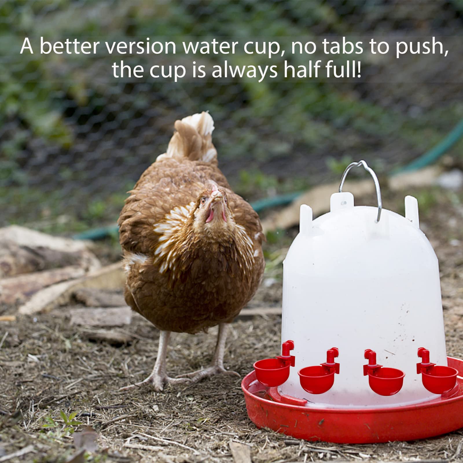 SKWIRRLE gravity-fed cups ensure steady water supply for chickens, ducks, and geese.