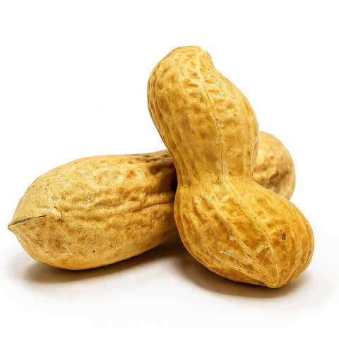 Sky Ecommerce unsalted in-shell peanuts ready for wildlife and garden use.