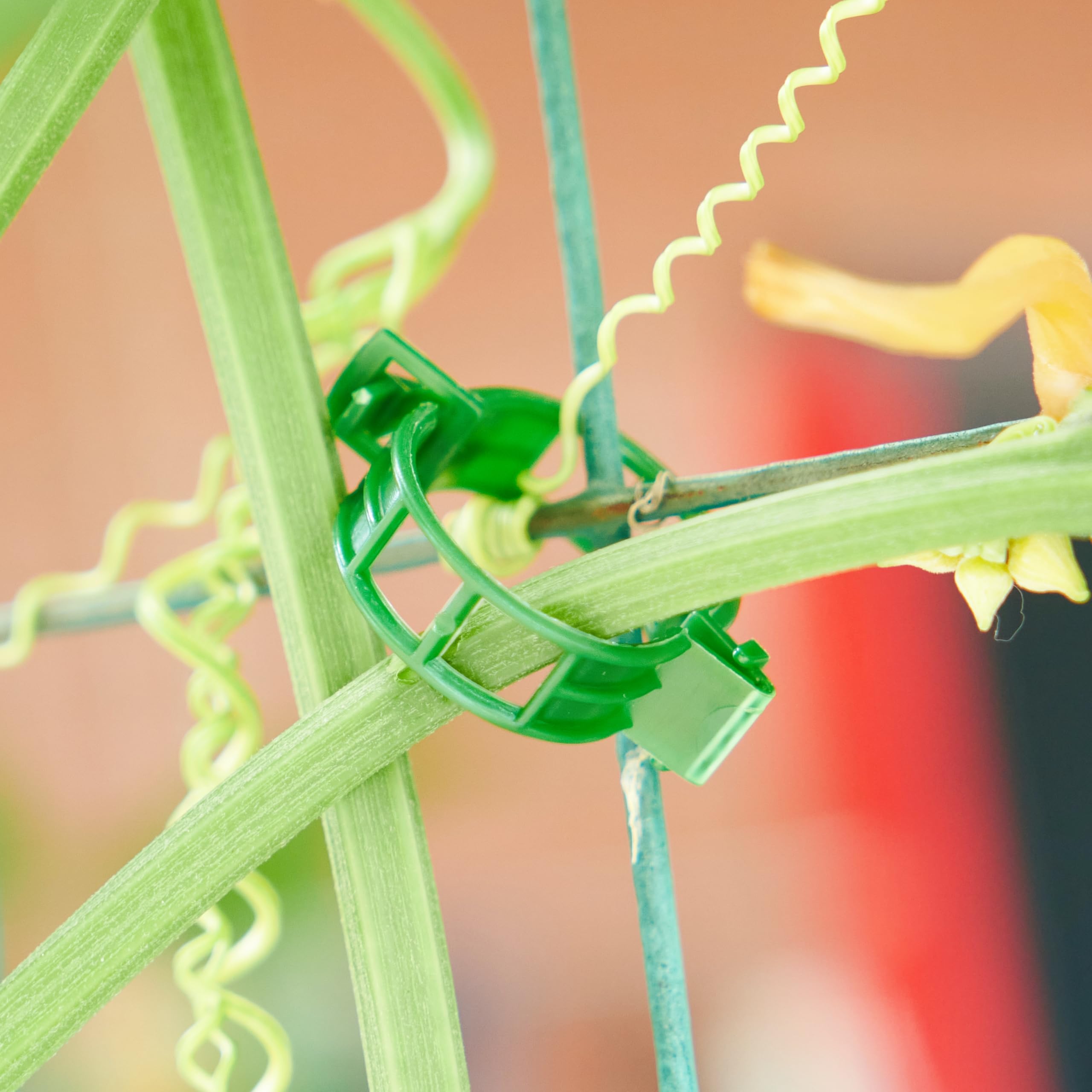SLAMZO clip around stem safeguards delicate tissue while holding thick stems.