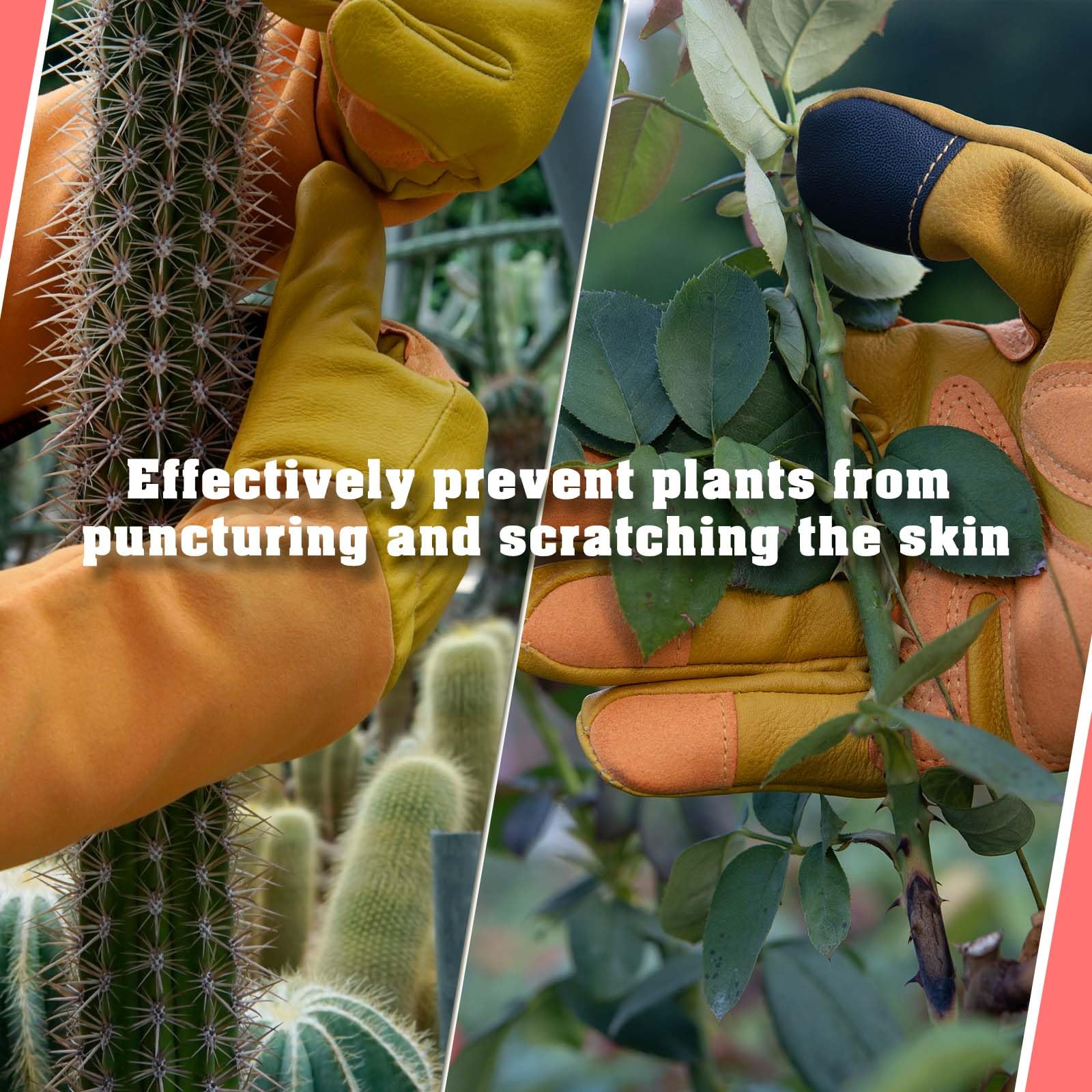 SLARMOR padded cowhide leather palm provides puncture resistance for thorny work.