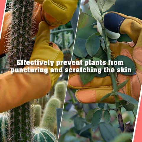 SLARMOR padded cowhide leather palm provides puncture resistance for thorny work.