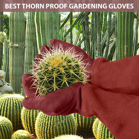 SLARMOR thorn-proof gloves used for pruning roses and thorny plants