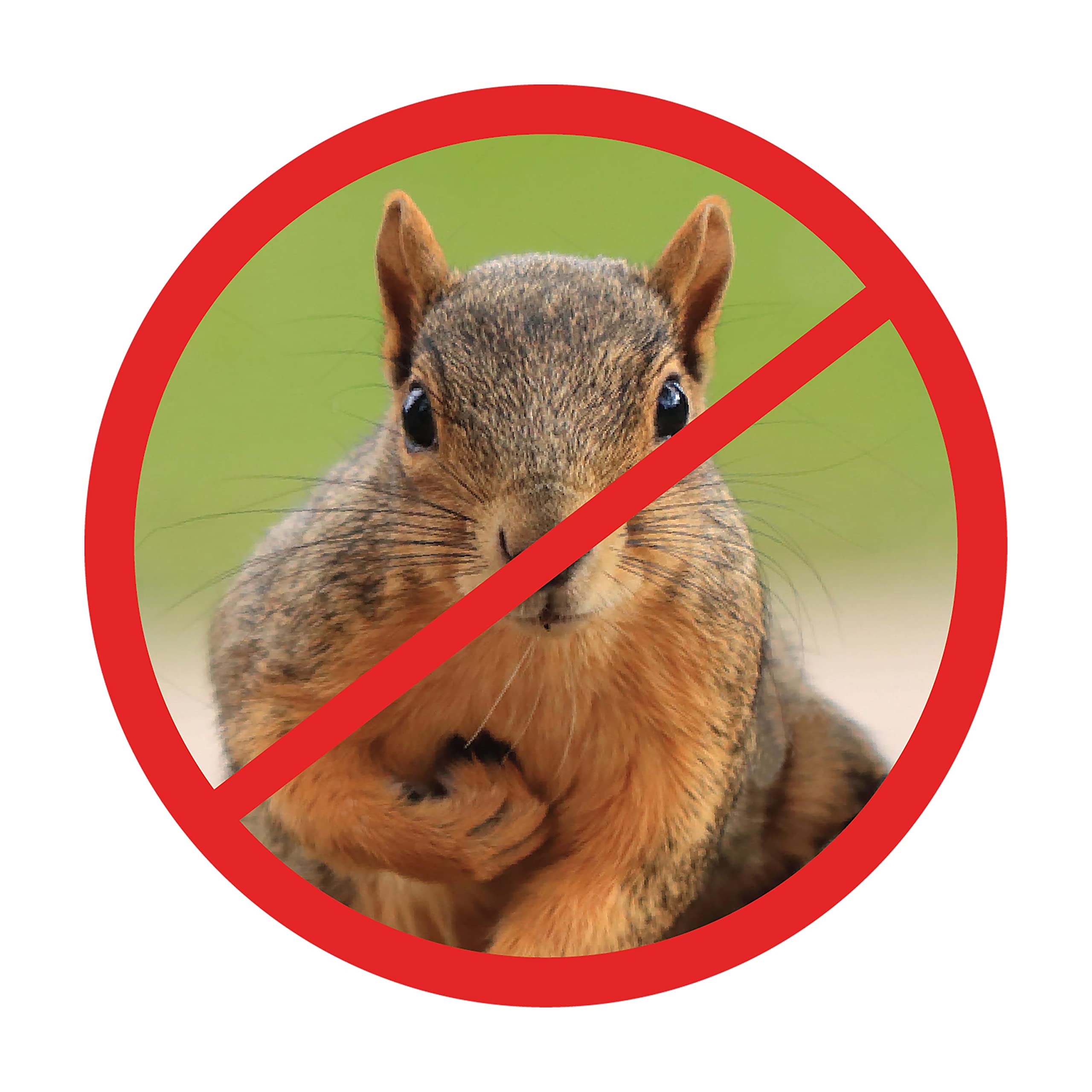 Slinky Scram-Squirrel 36 inches in length provides flexible protection