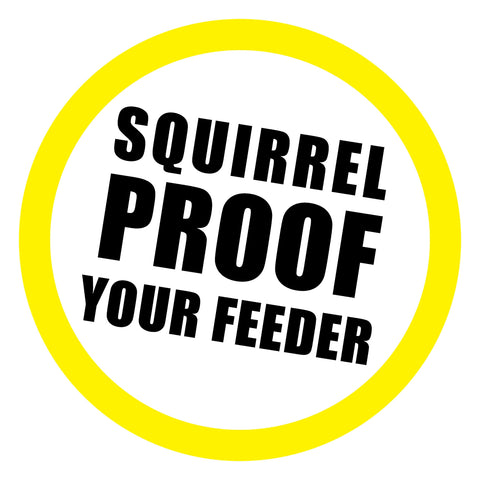 Slinky Scram-Squirrel attachment to a pole deters climbing