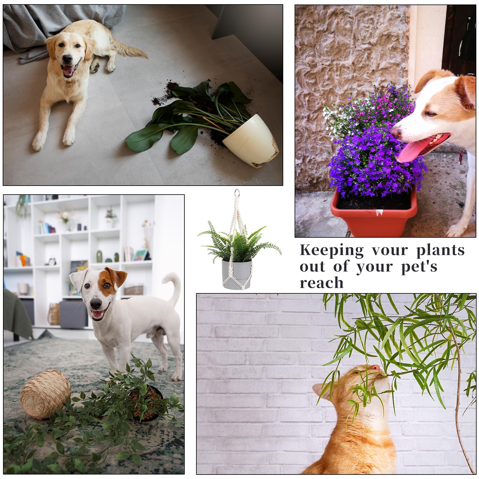 Sliverdew cotton cord ensures easy expansion and gentle watering access