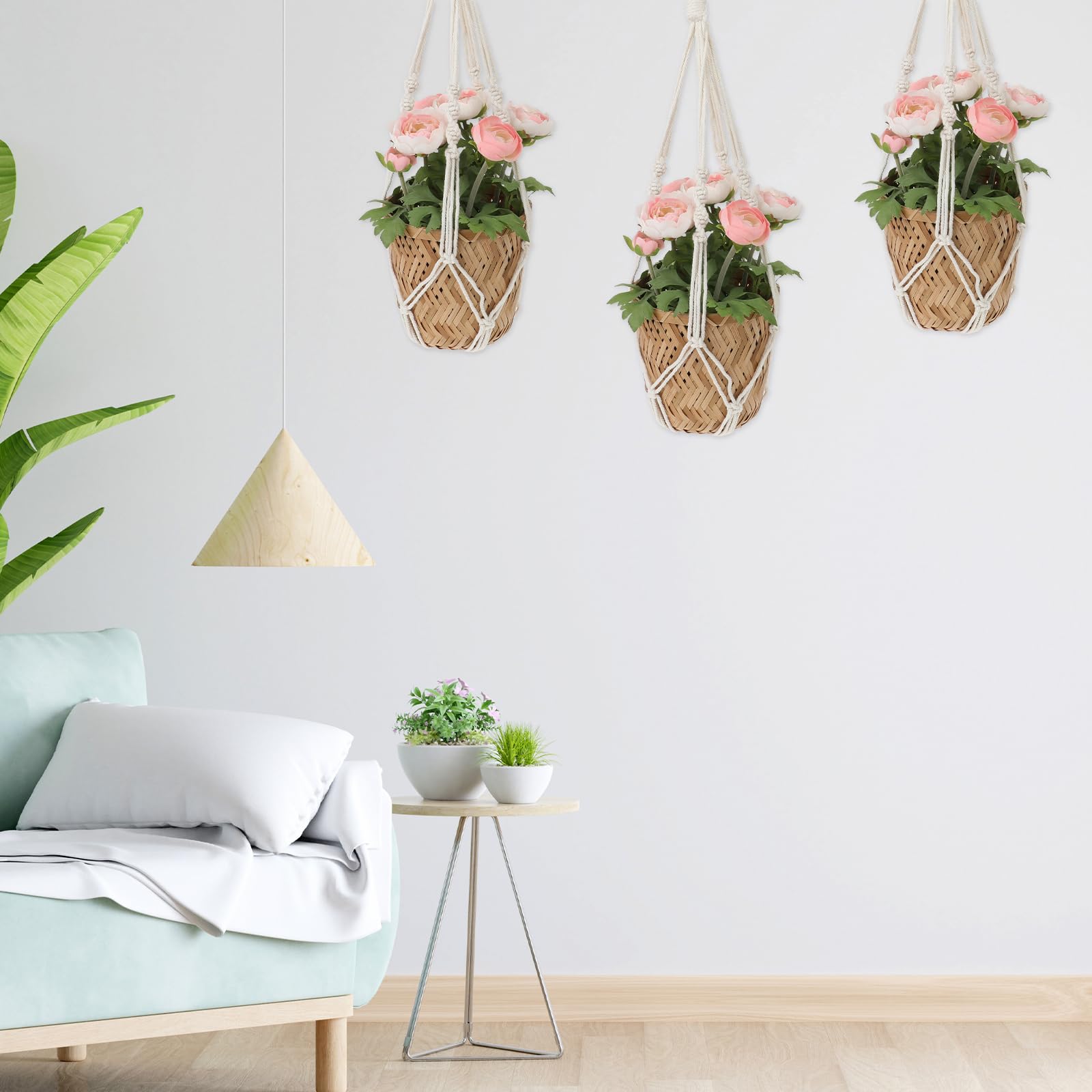 Sliverdew window display idea for lush greenery in sunlight