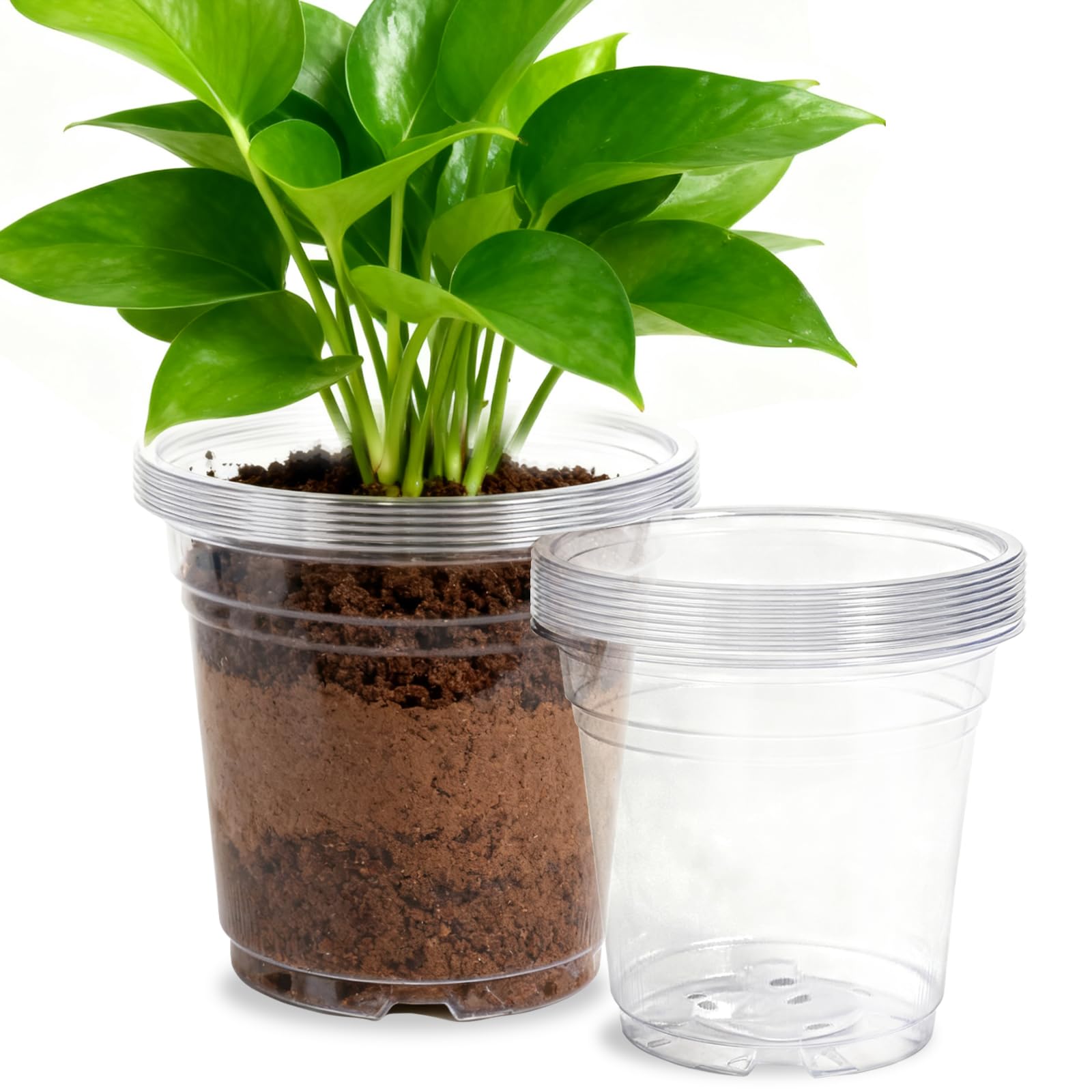 SLMKHHU clear 8-inch nursery pot showing transparent walls for root checks and moisture cues.