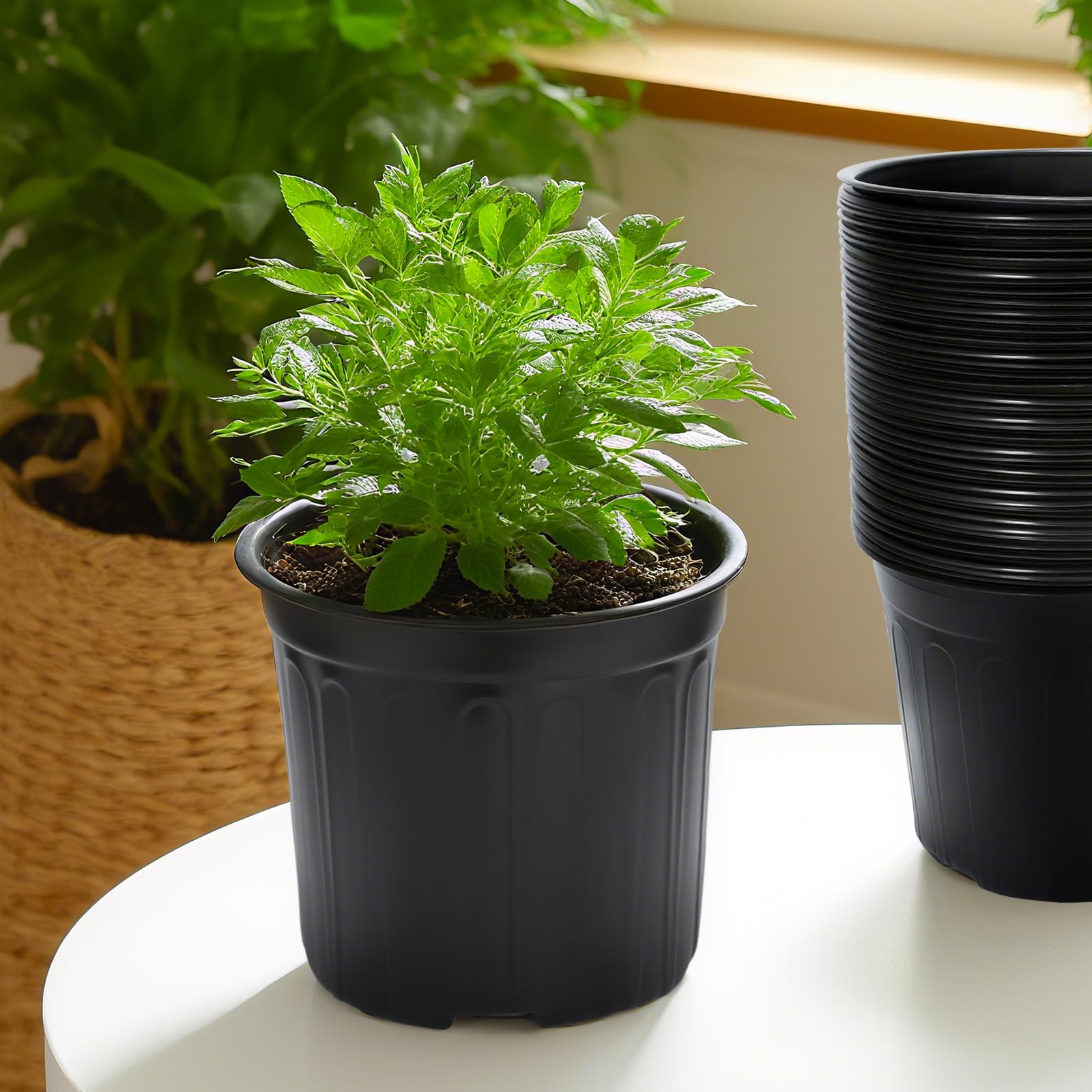SLMKHHU pot depth 21.2 cm 8.3 in supports healthy root growth