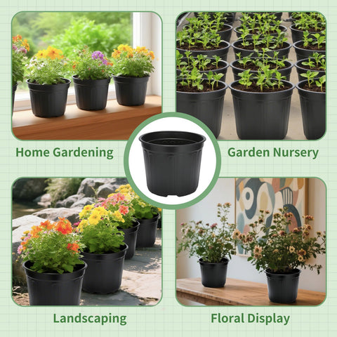 SLMKHHU ideal for seedling transplanting and early growth phases